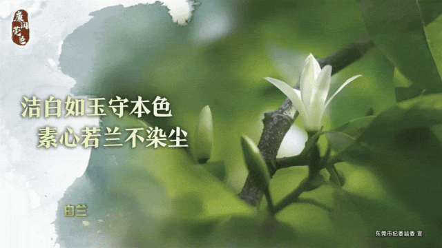 如何通过合理的营养补充来支持篮球恢复训练?_0